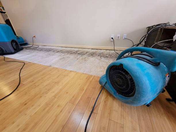 Professional Water Damage Repair technician working in Woodburn, VA